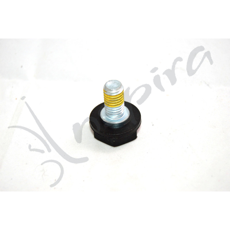 Tornillo Vaso Bateria M10