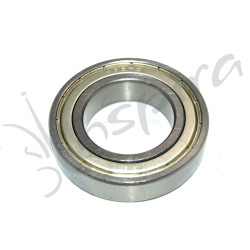 Rodamiento 6007ZZ