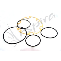 Kit Anillos Freno AUSA CH250