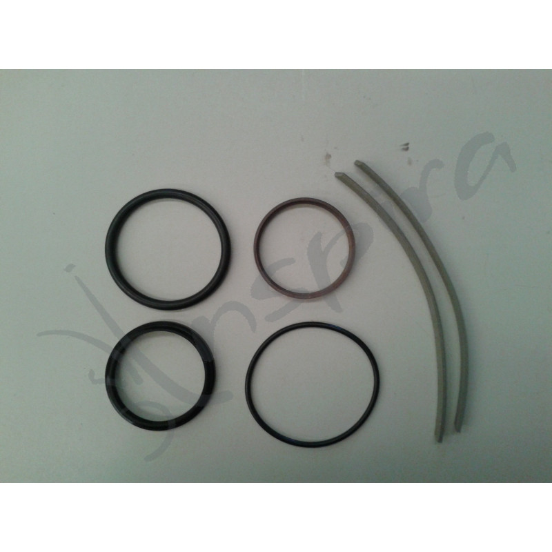 Kit de Juntas cilindro elevacion