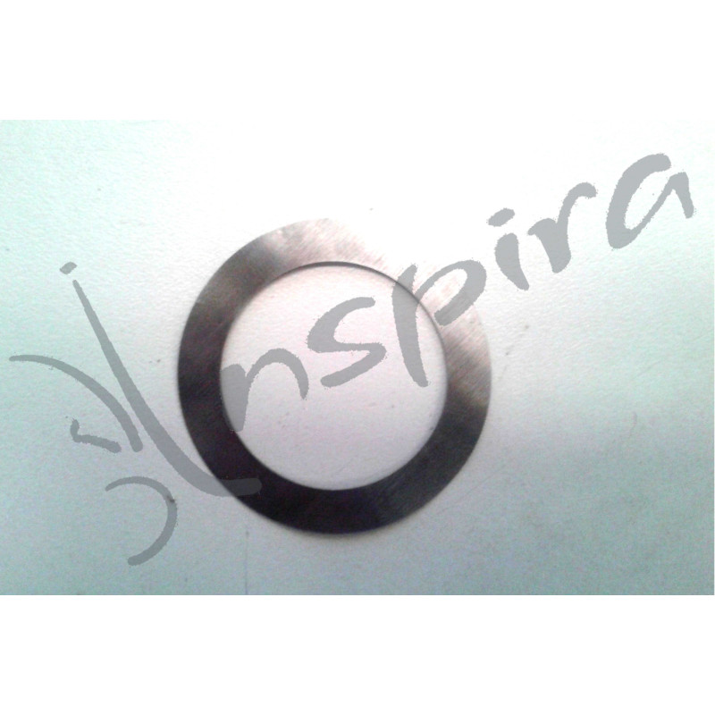 Arandela Reglaje Grupo Motriz PBV20N